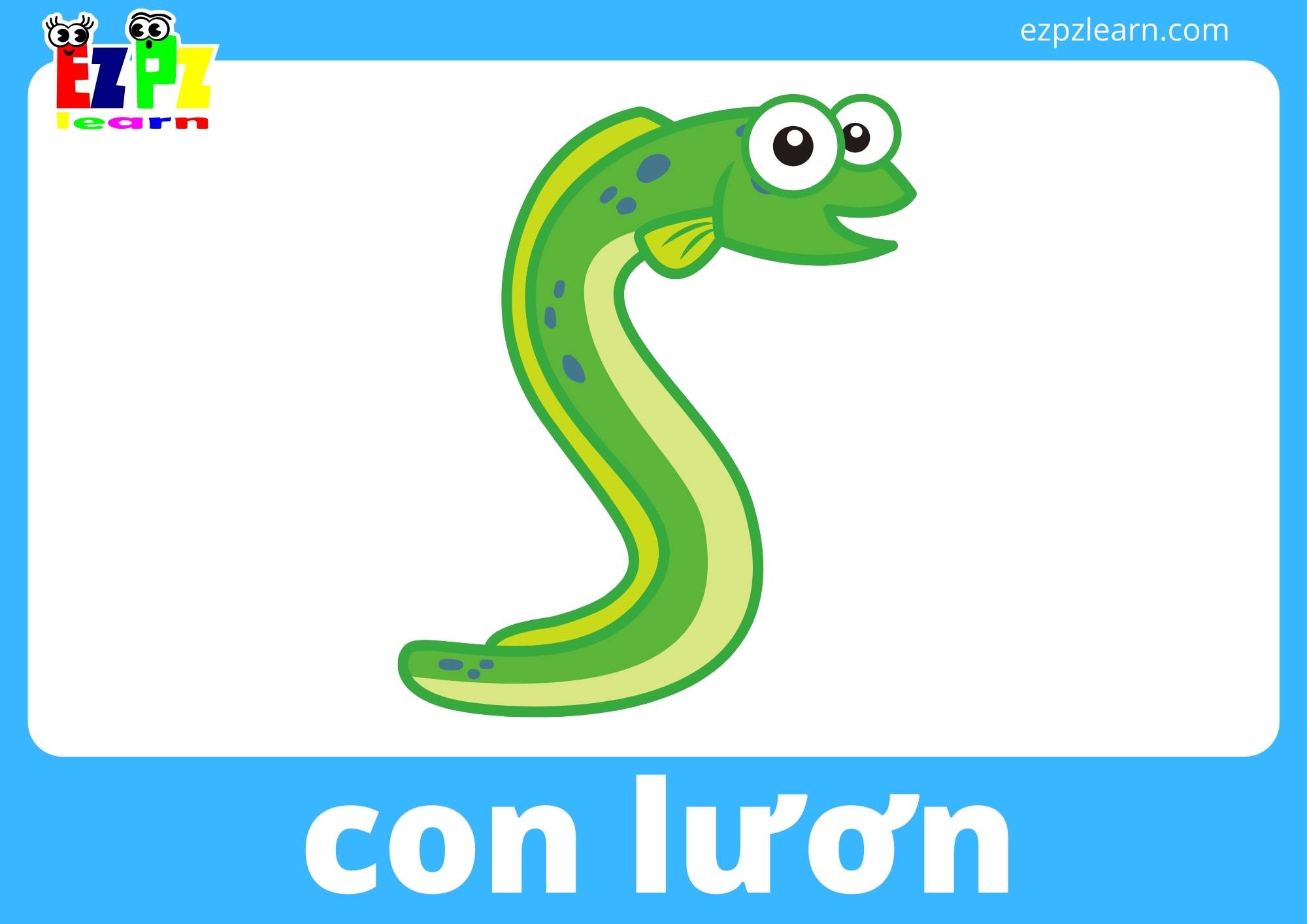 con lươn